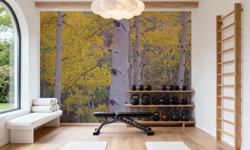 Golden Birch Forest