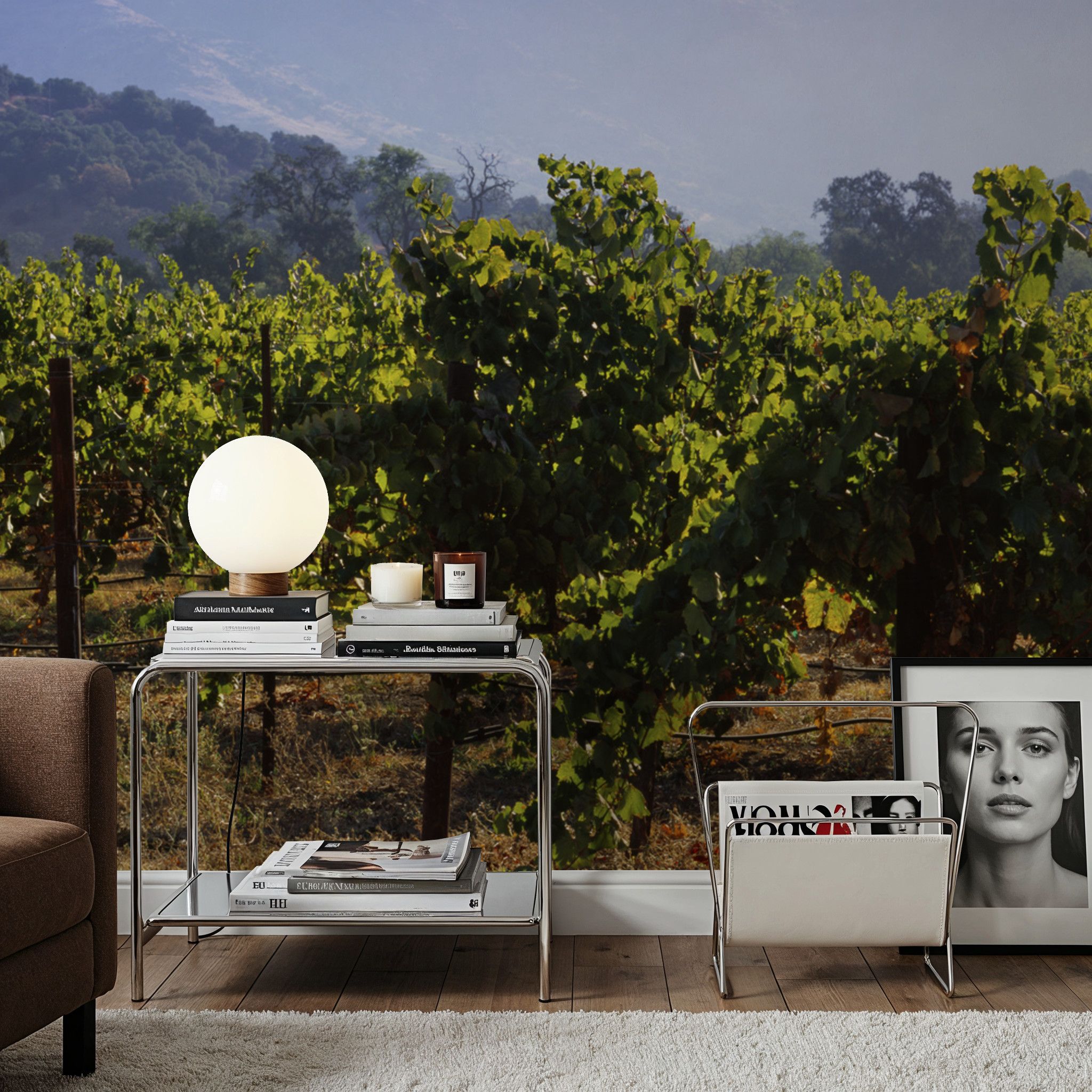 Napa Grape Vines