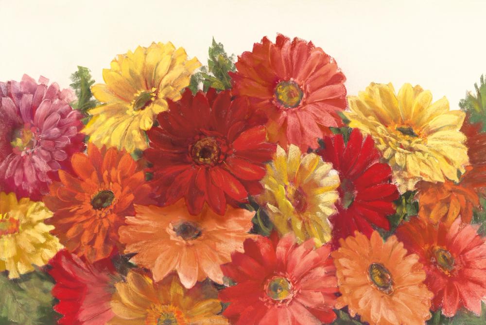 Bountiful Gerberas