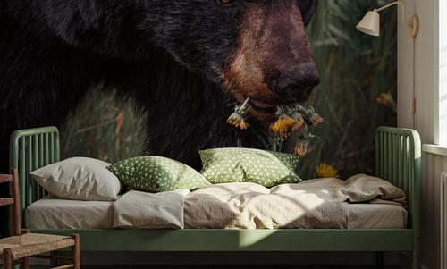 Hungry Bear