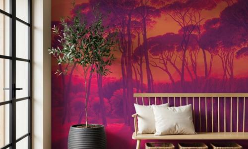 Mediterranean Pine Landscape, Sunset