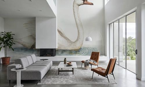Swimming Swan