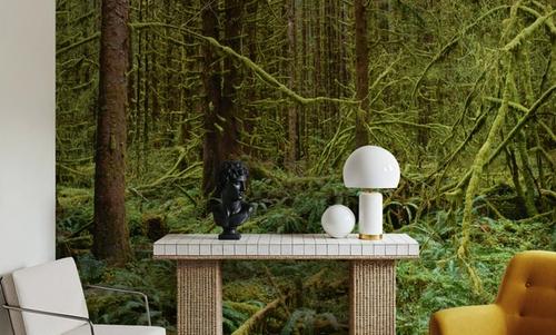 Ancient Moss Haven
