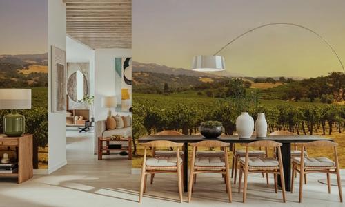 Golden Vineyard Vista