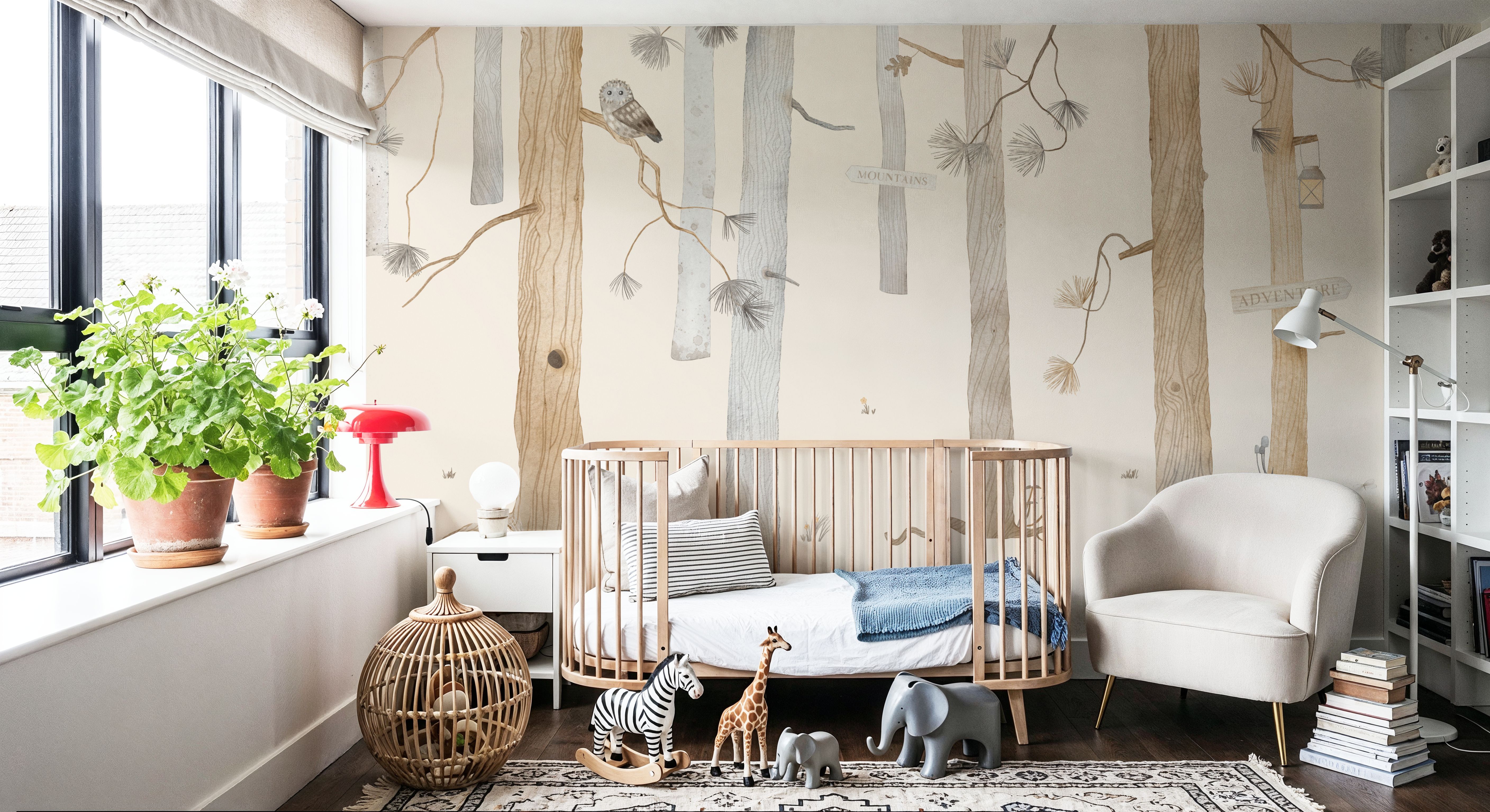 Adventure In Mountain Forest