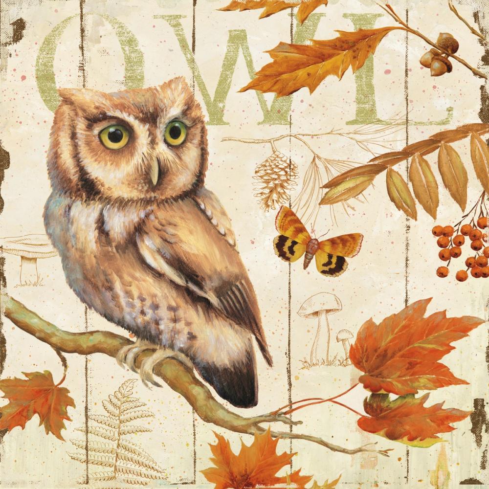 Owl Lodge I