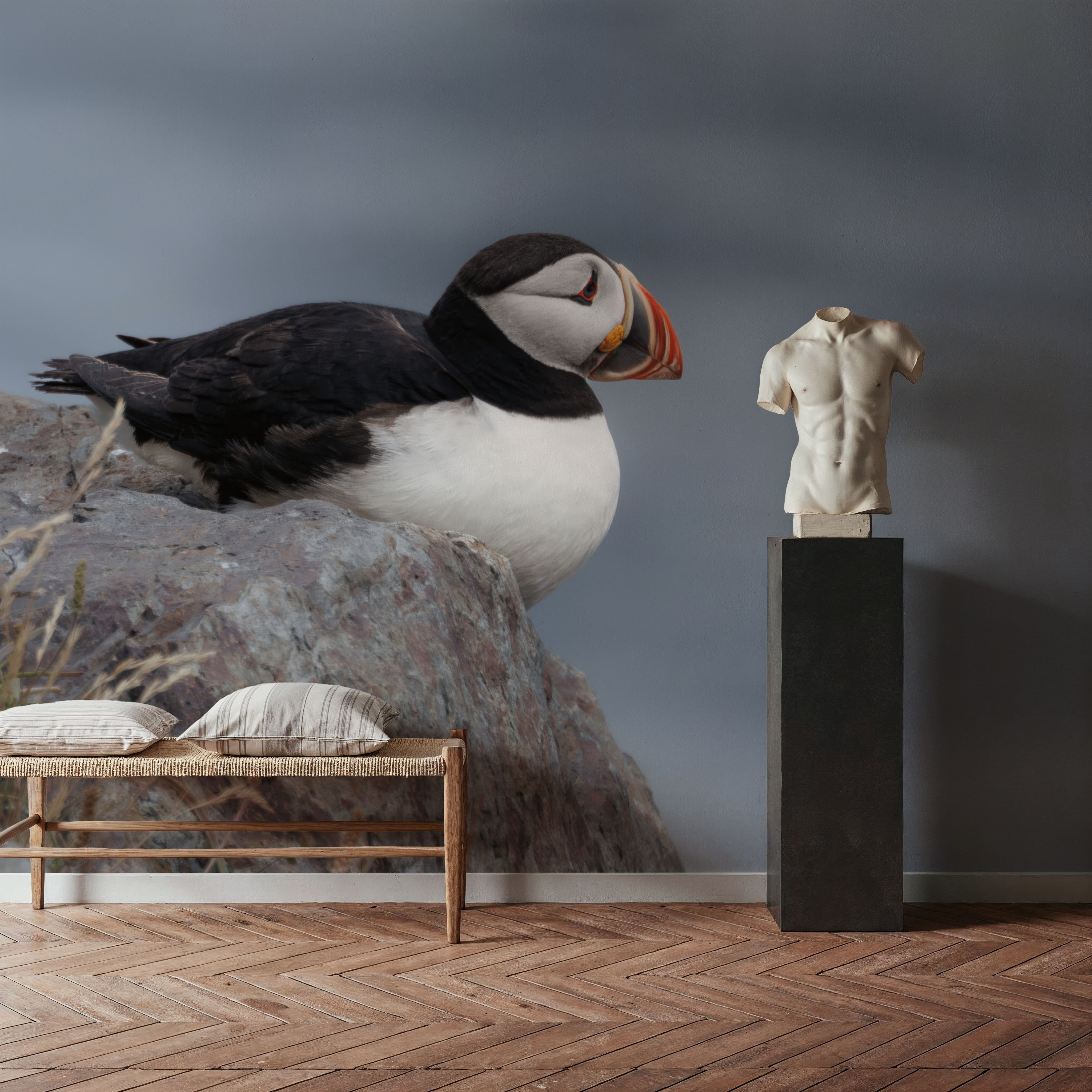 Atlantic Puffin Resting