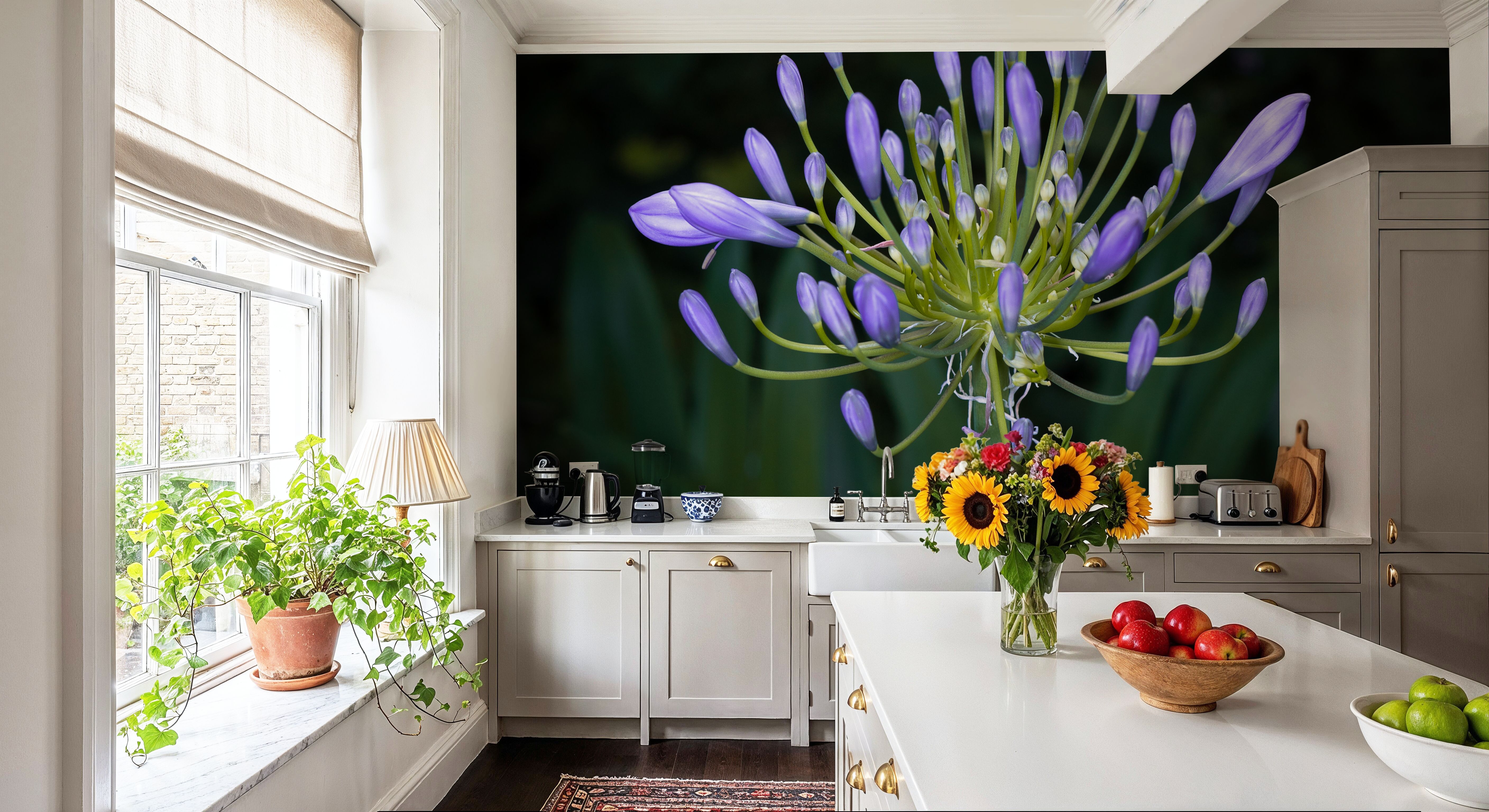 Night Agapanthus