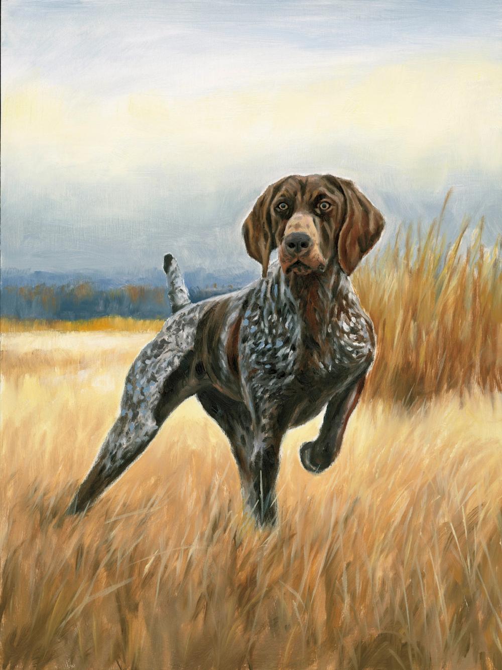 Hunting Dog Pointer