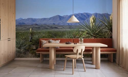 Desert Yucca Vista