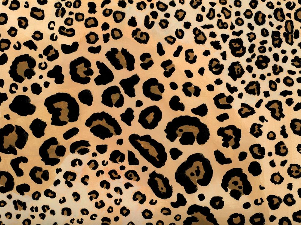 Animal Print II