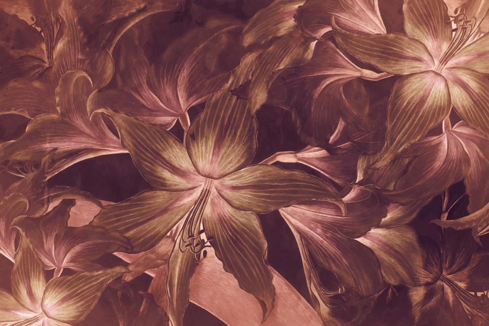 Amarantus Dream Glow