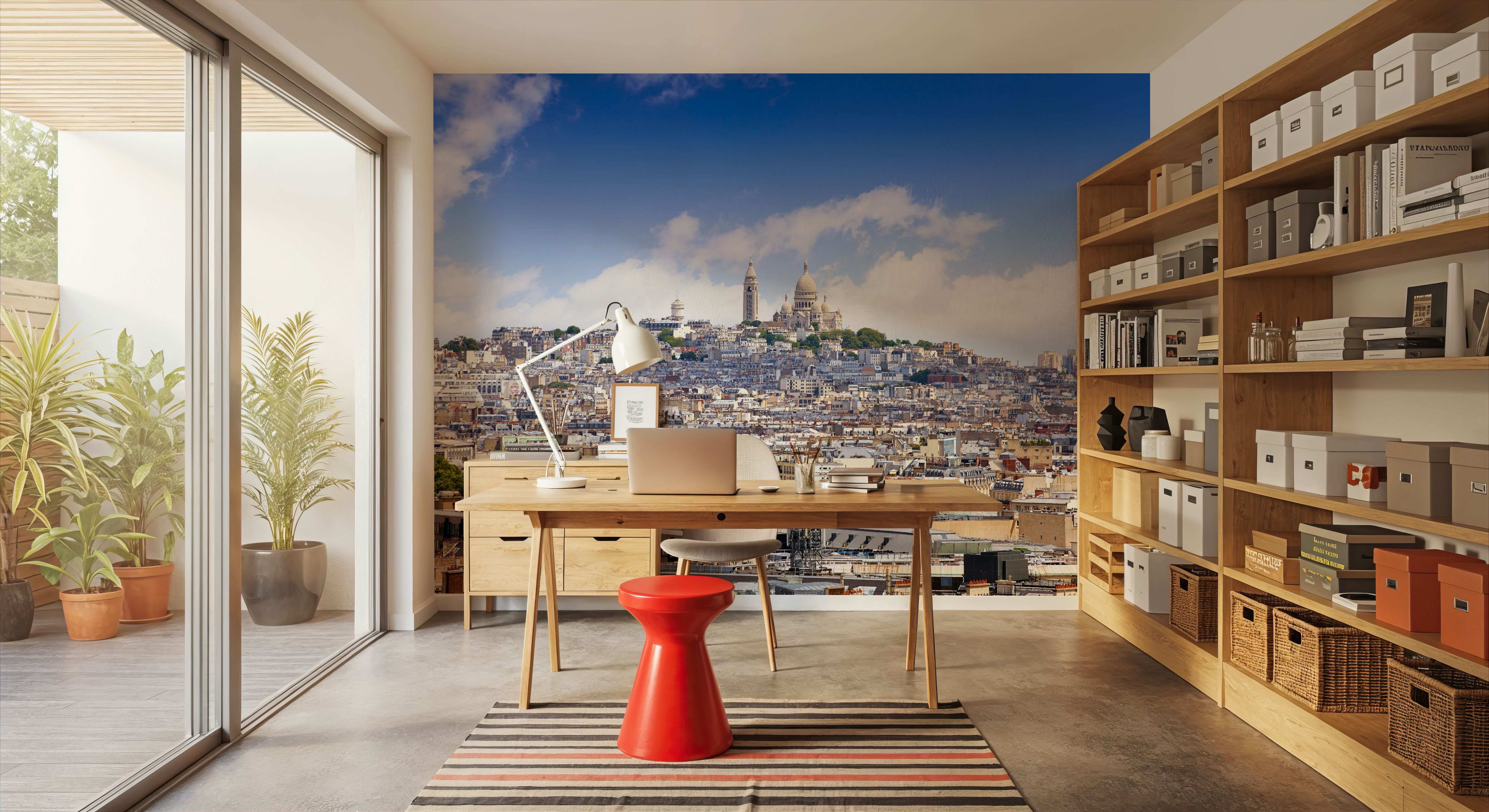 Paris Skyline and Sacre Coeur Basilique