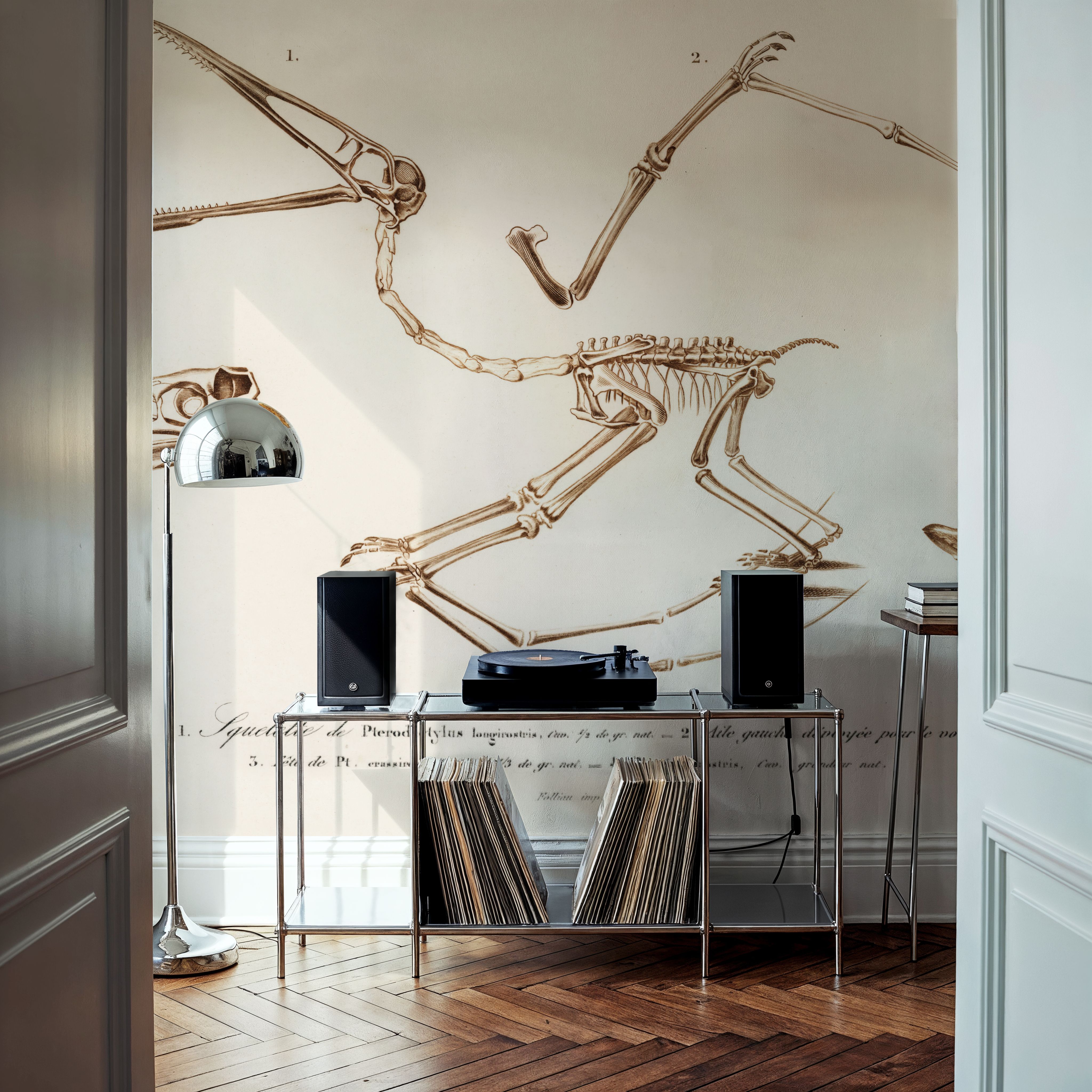 Wall Mural - Pterosaur Illustrated - Birds Animals mural wallpaper - Brown - Living room - Wallism US - Premium, Textured or Peel & Stick