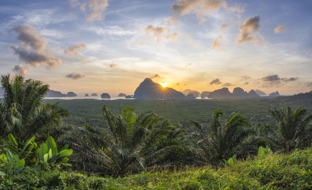 Tropical Sunset Vista