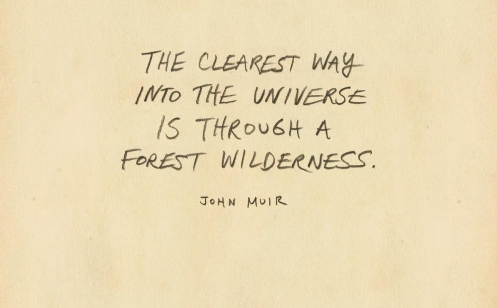 Outdoor Adventure VI