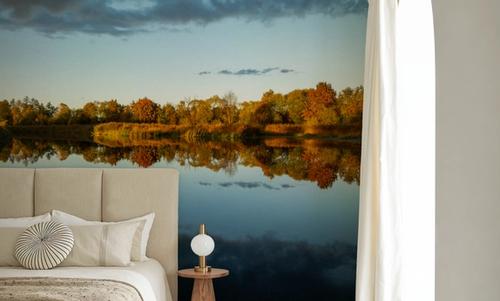 Mirrored Landscape