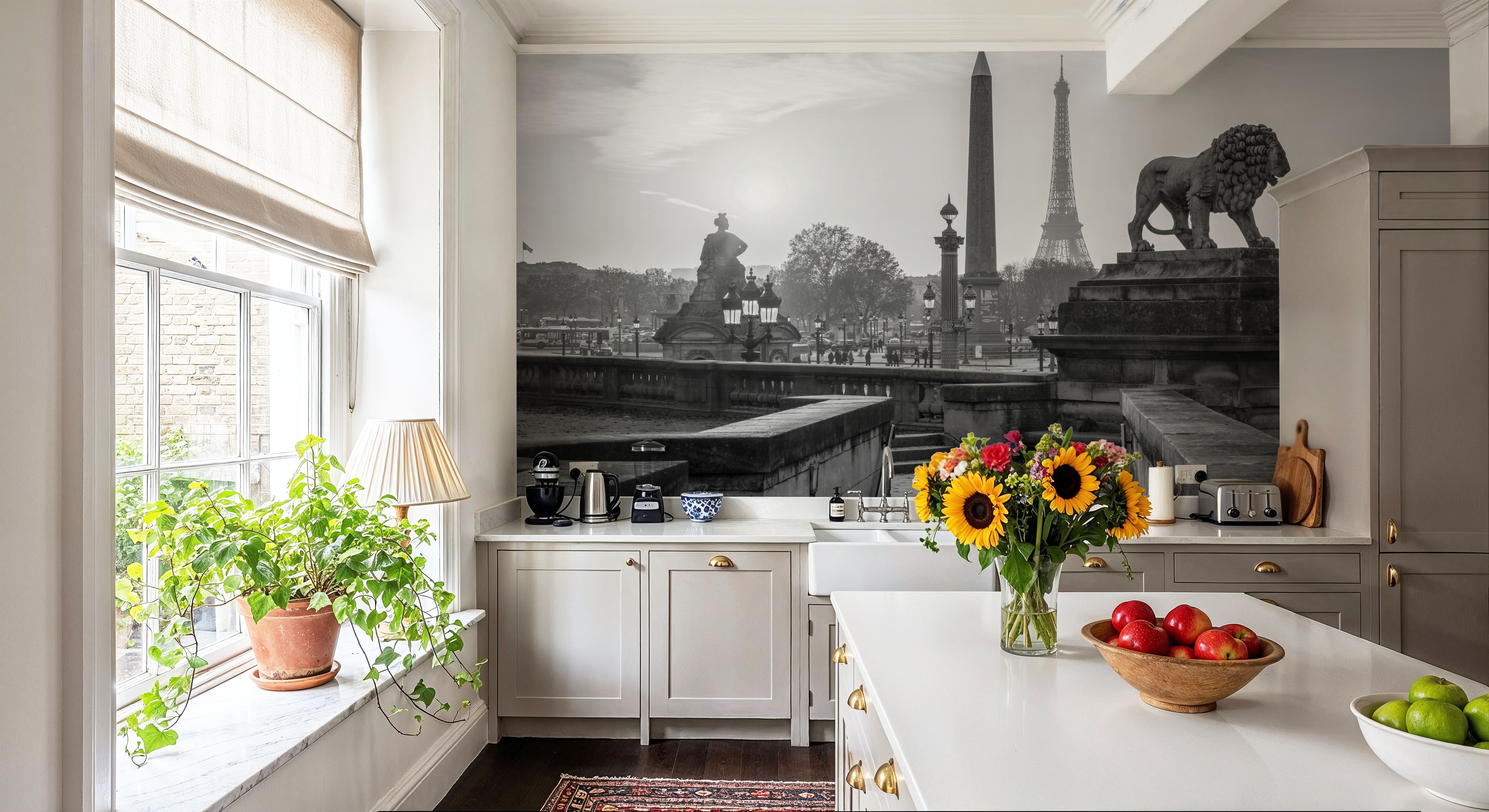 Place de la Concorde at Sunset BW, Wallpaper
