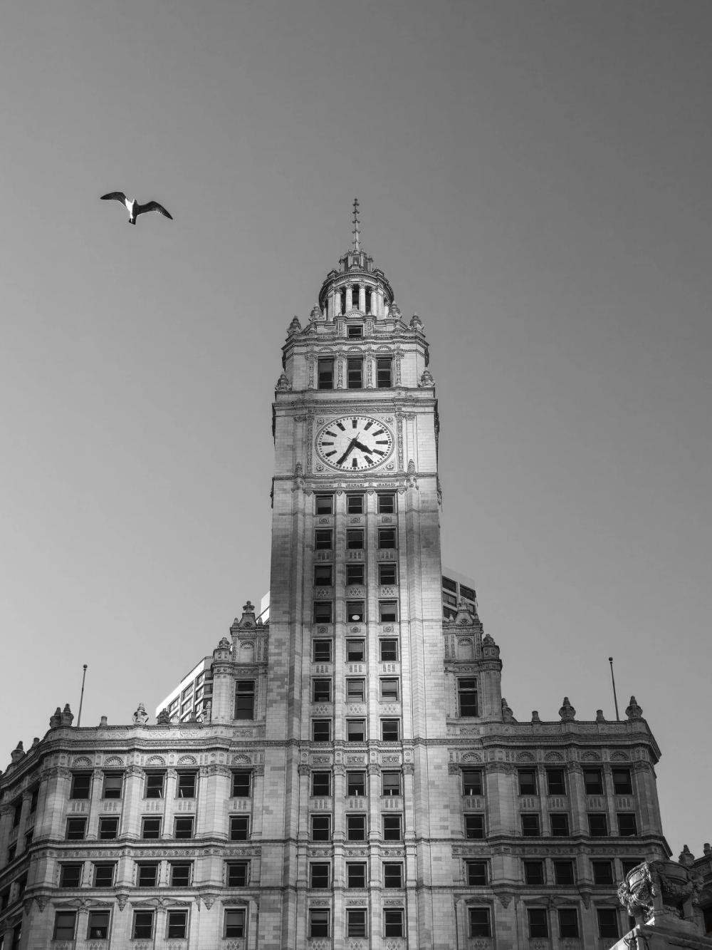 Chicago River Walk BW