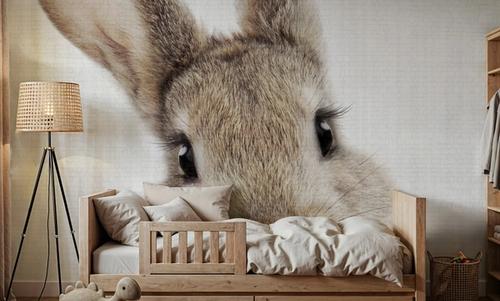 Peekaboo Bunny