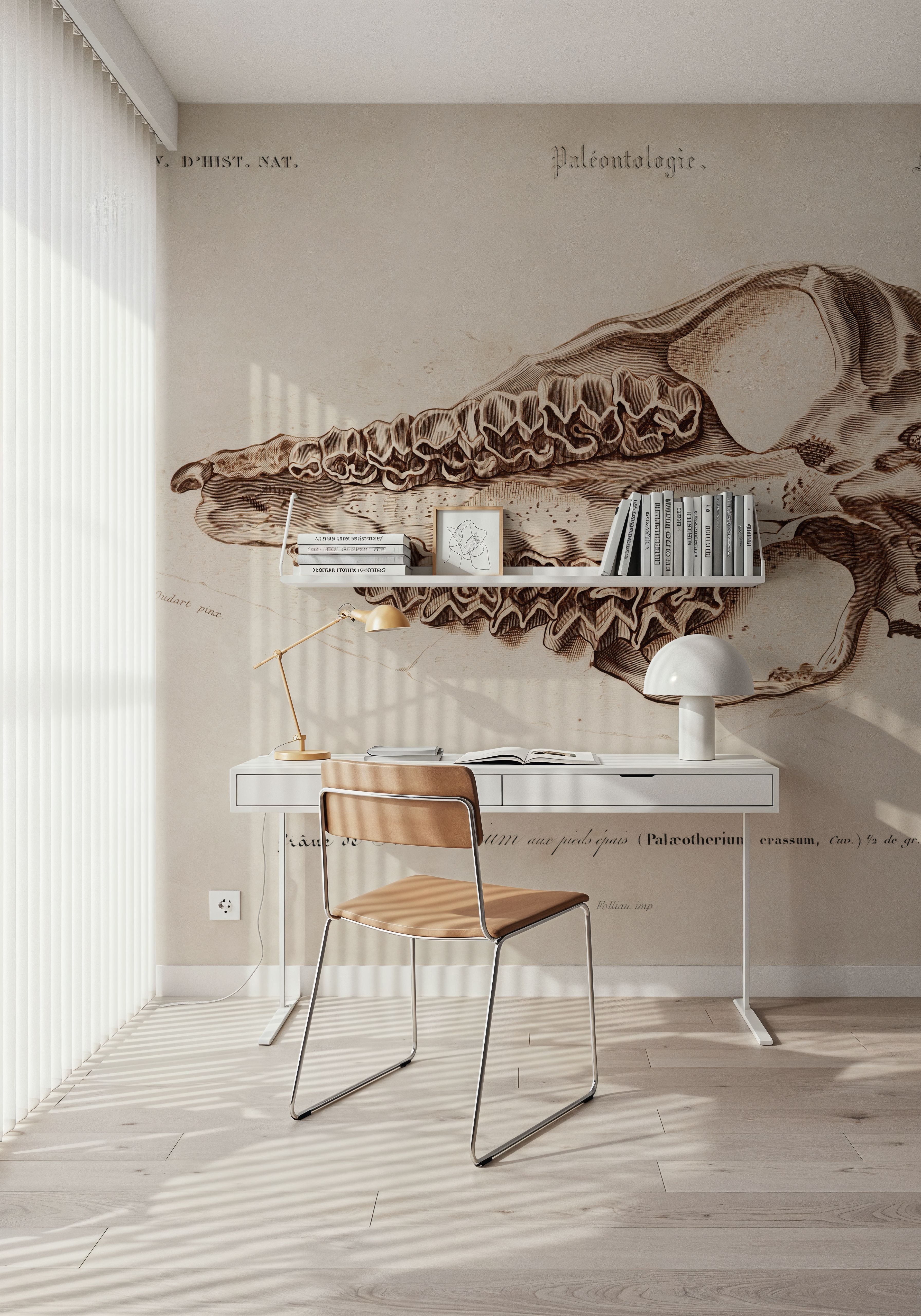 Palaeotherium Illustrated