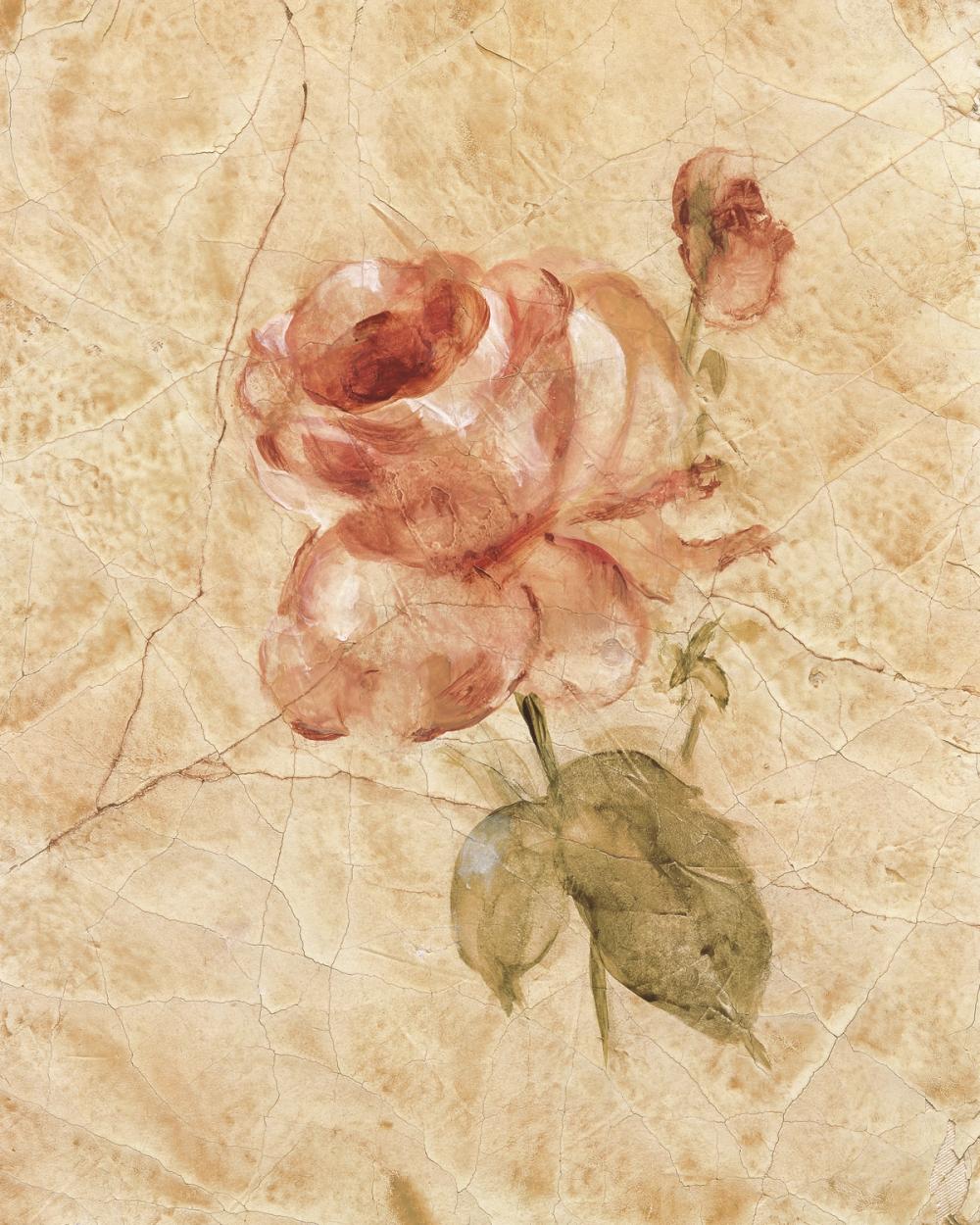 Rose on Cracked Linen