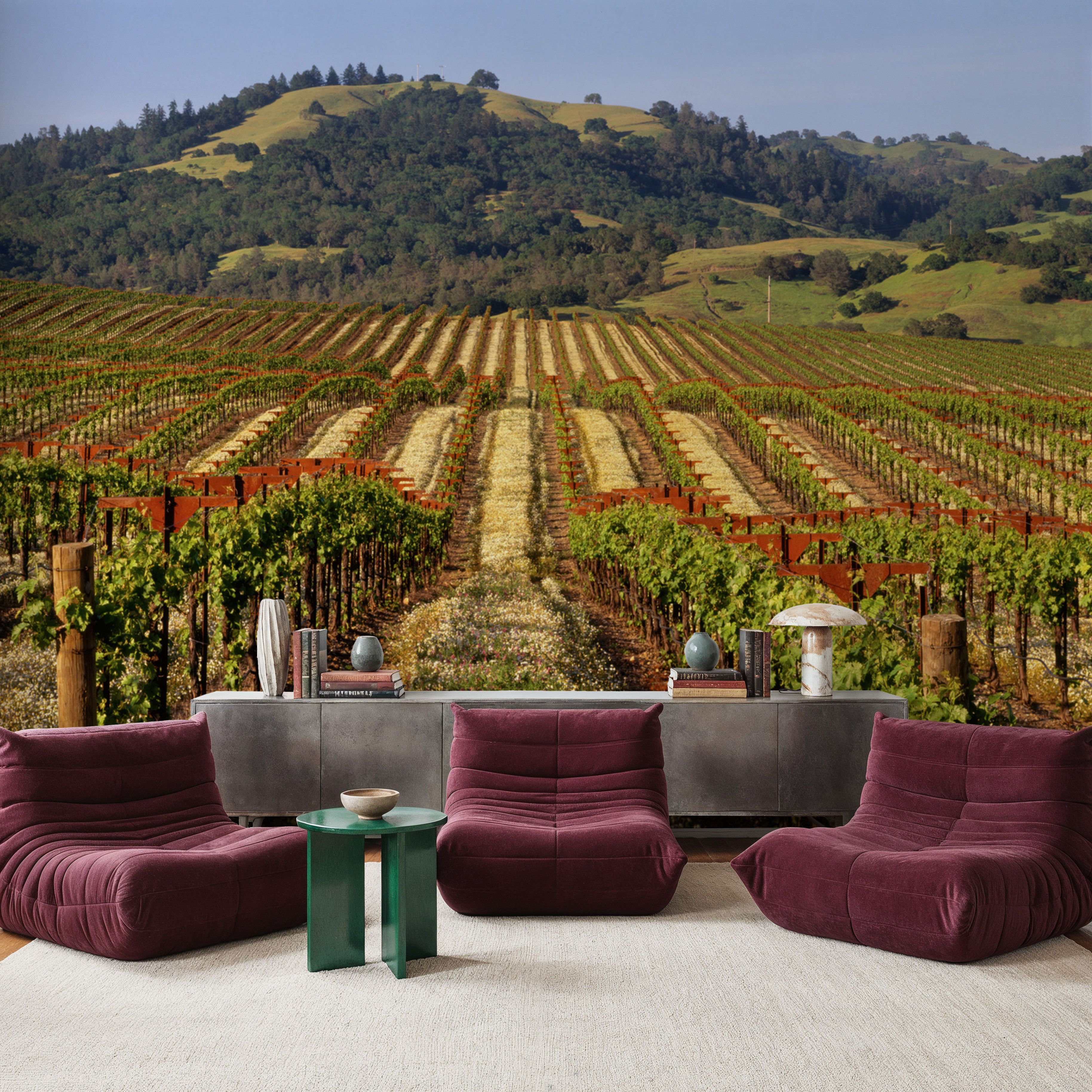 Vineyard Dreams