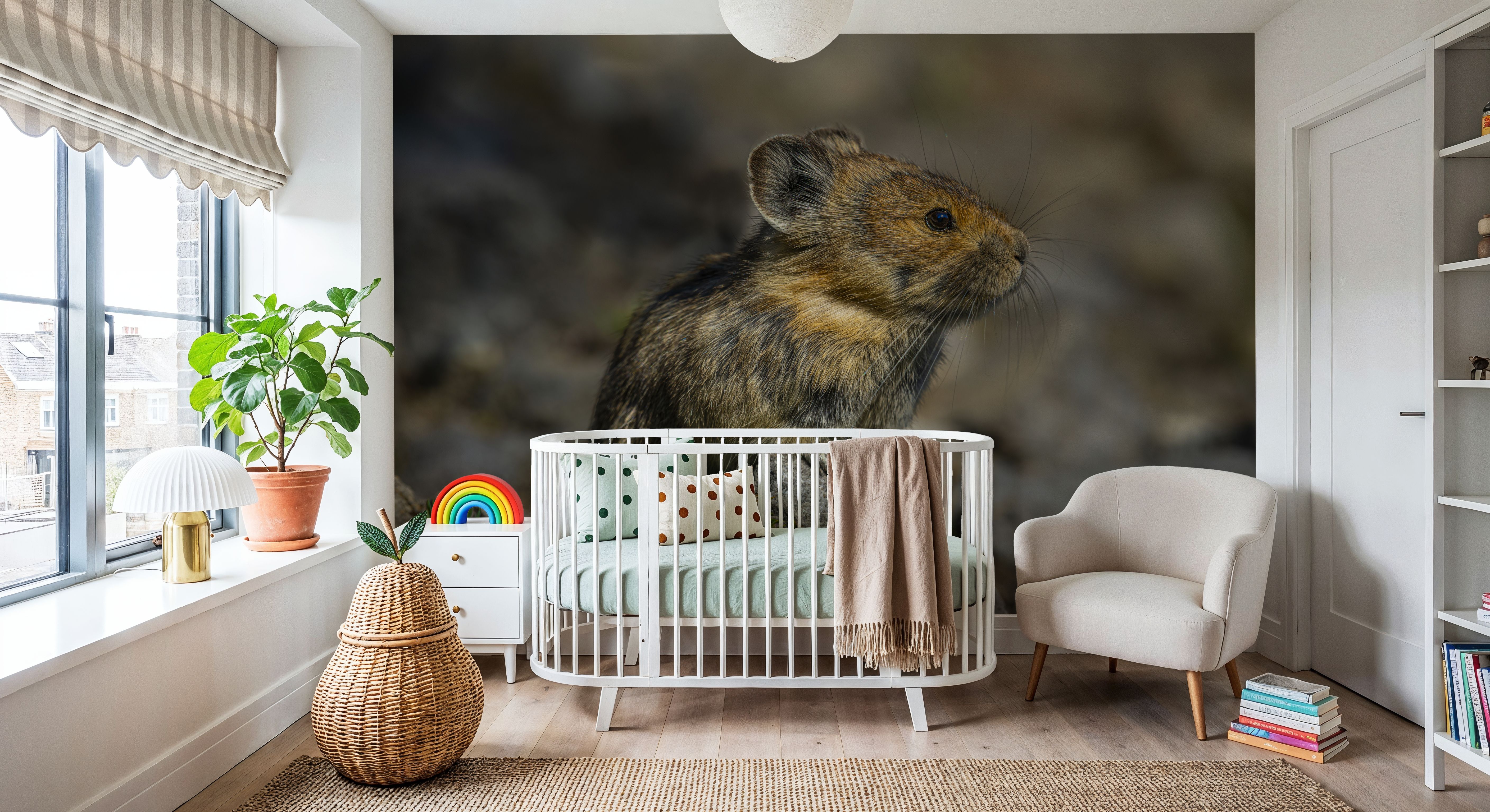 American Pika