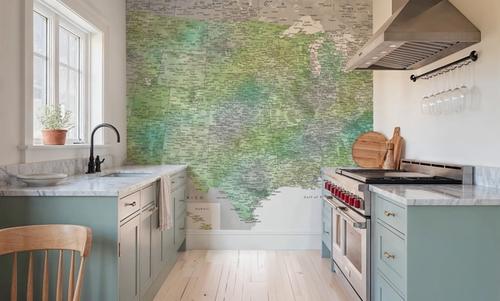 US Map Detailed - Oriole