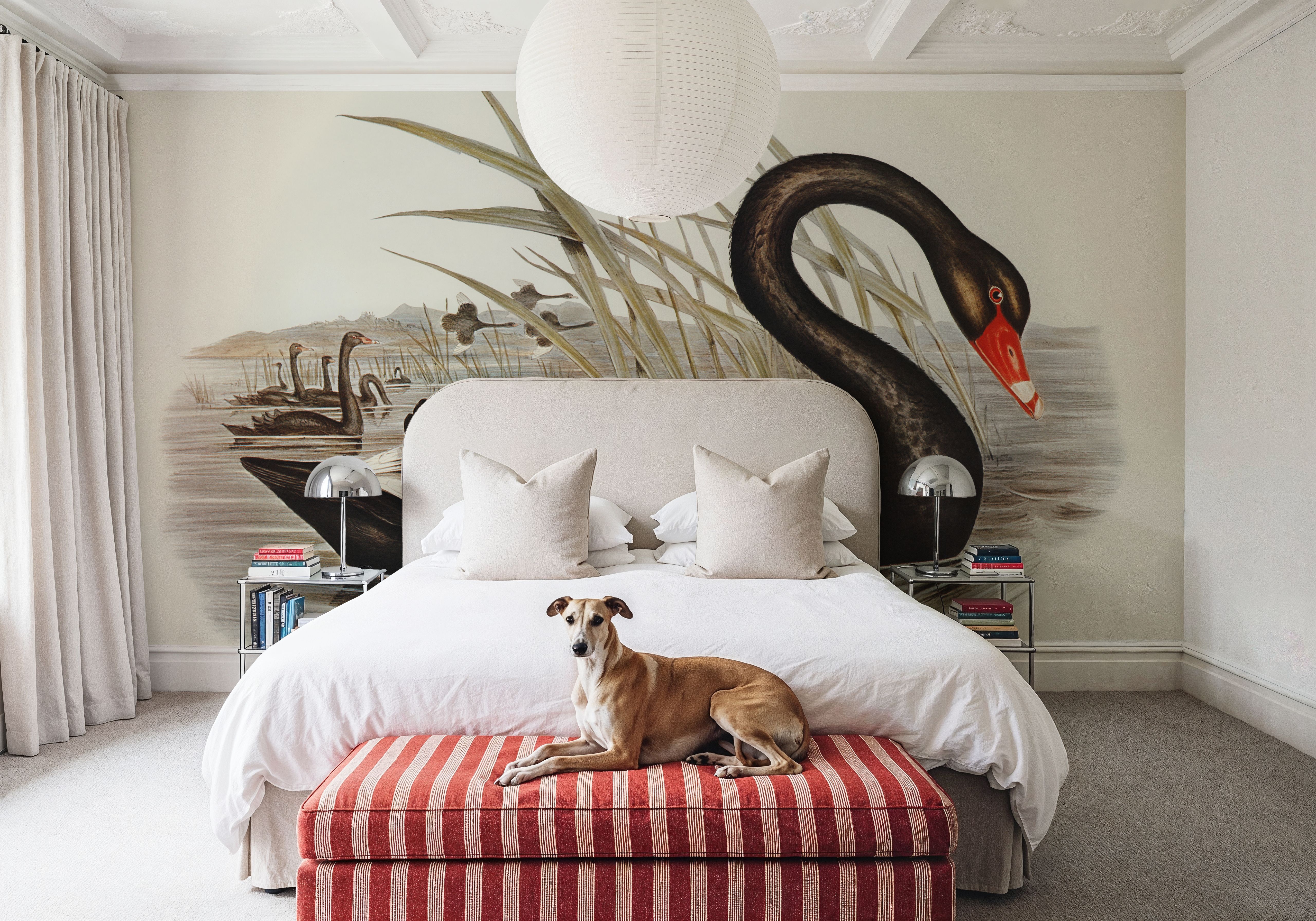 Black Swan Vintage Book