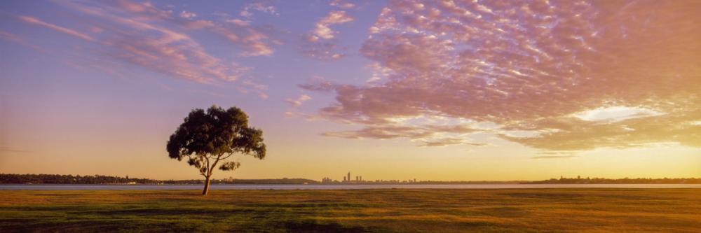 Twilight Solitude Orange