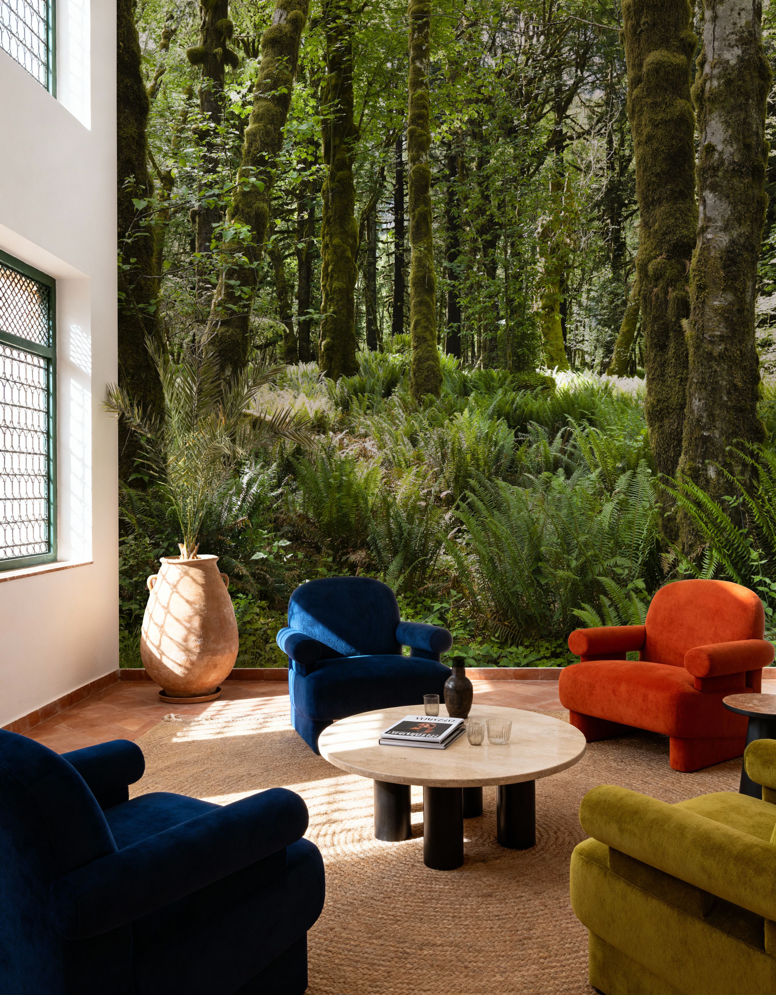 Quinault Rainforest