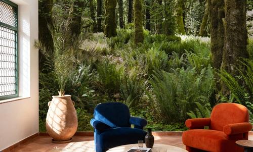 Quinault Rainforest