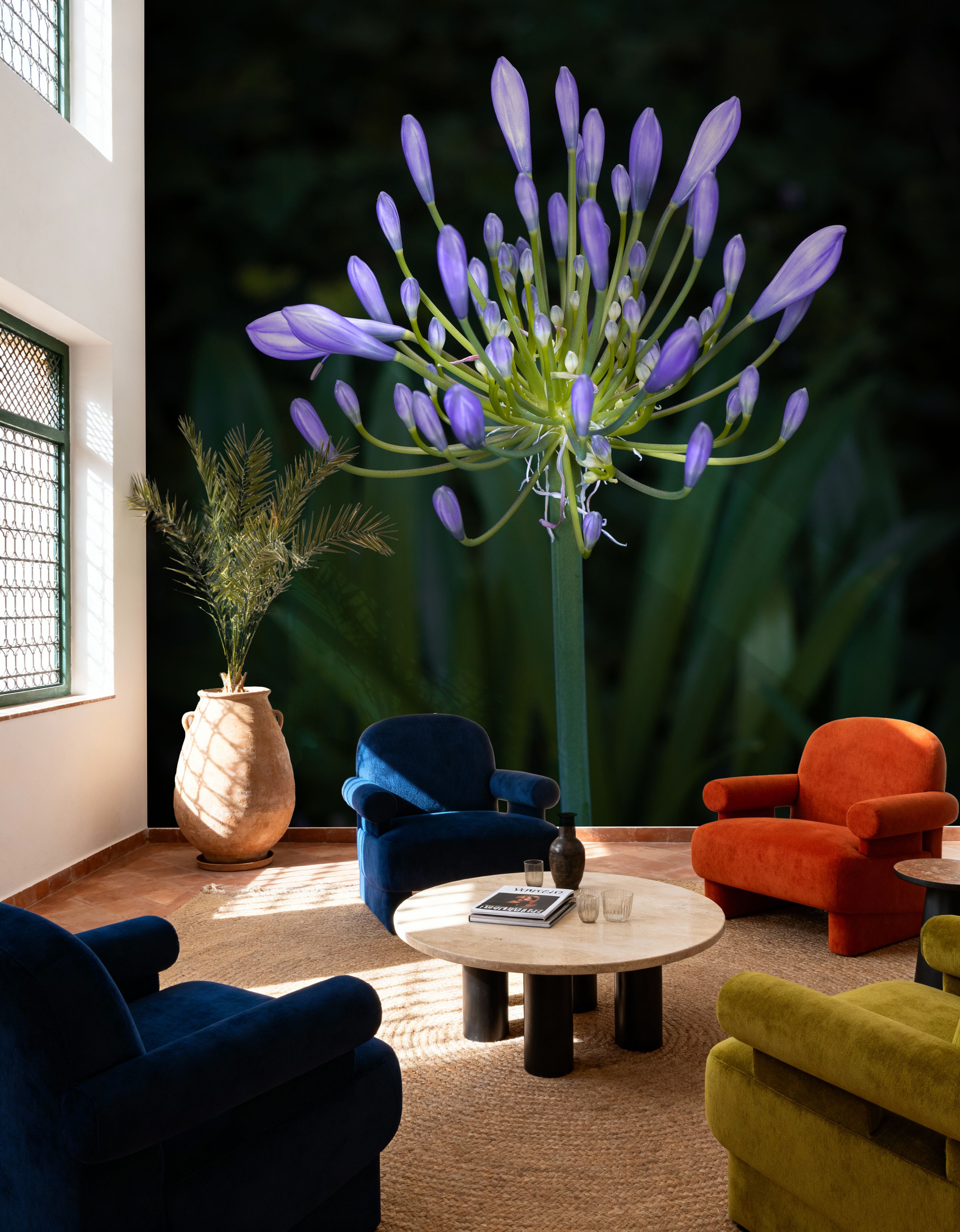 Night Agapanthus
