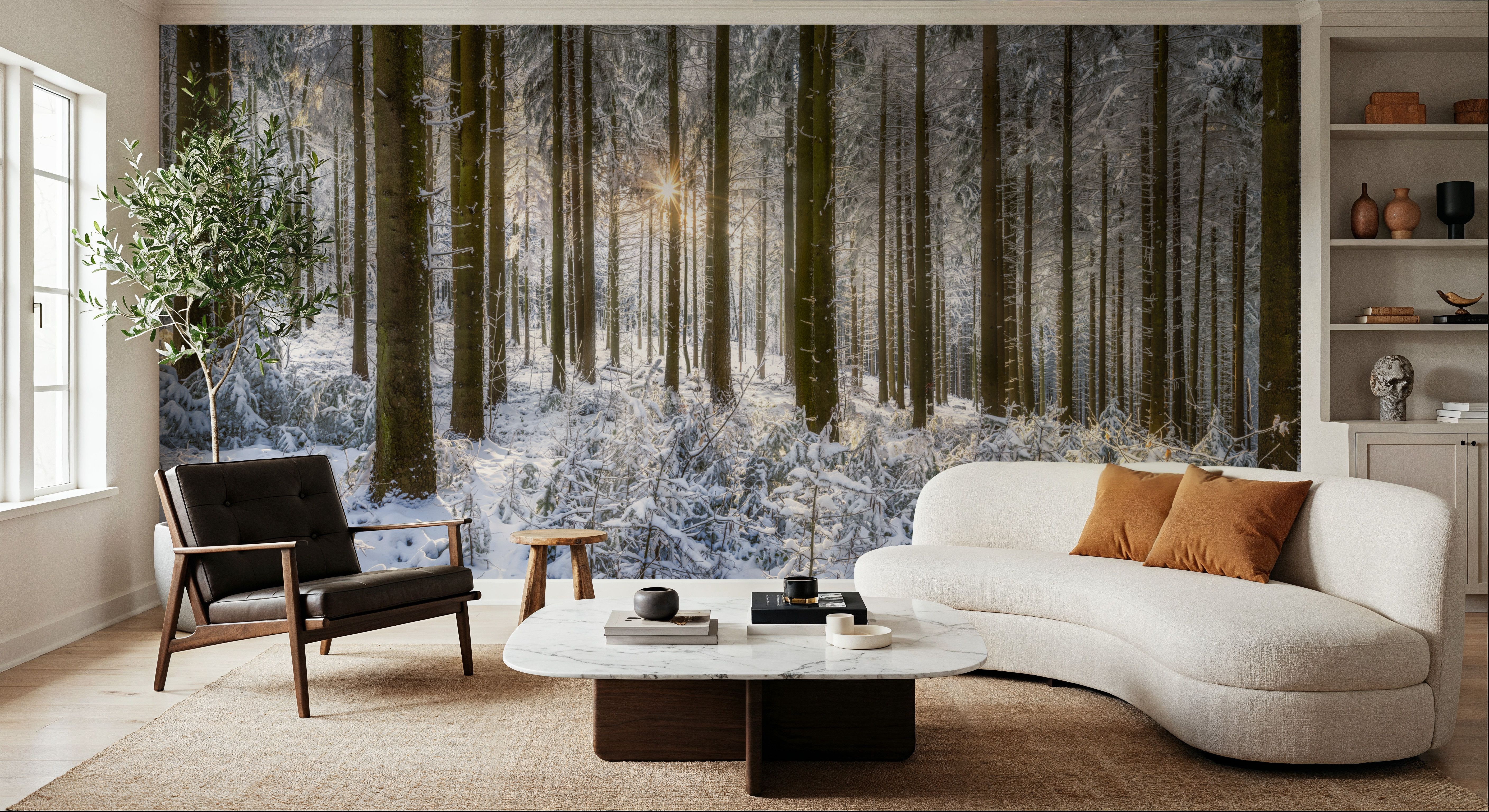 Winter Day