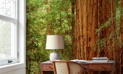 Ancient Timber Glow