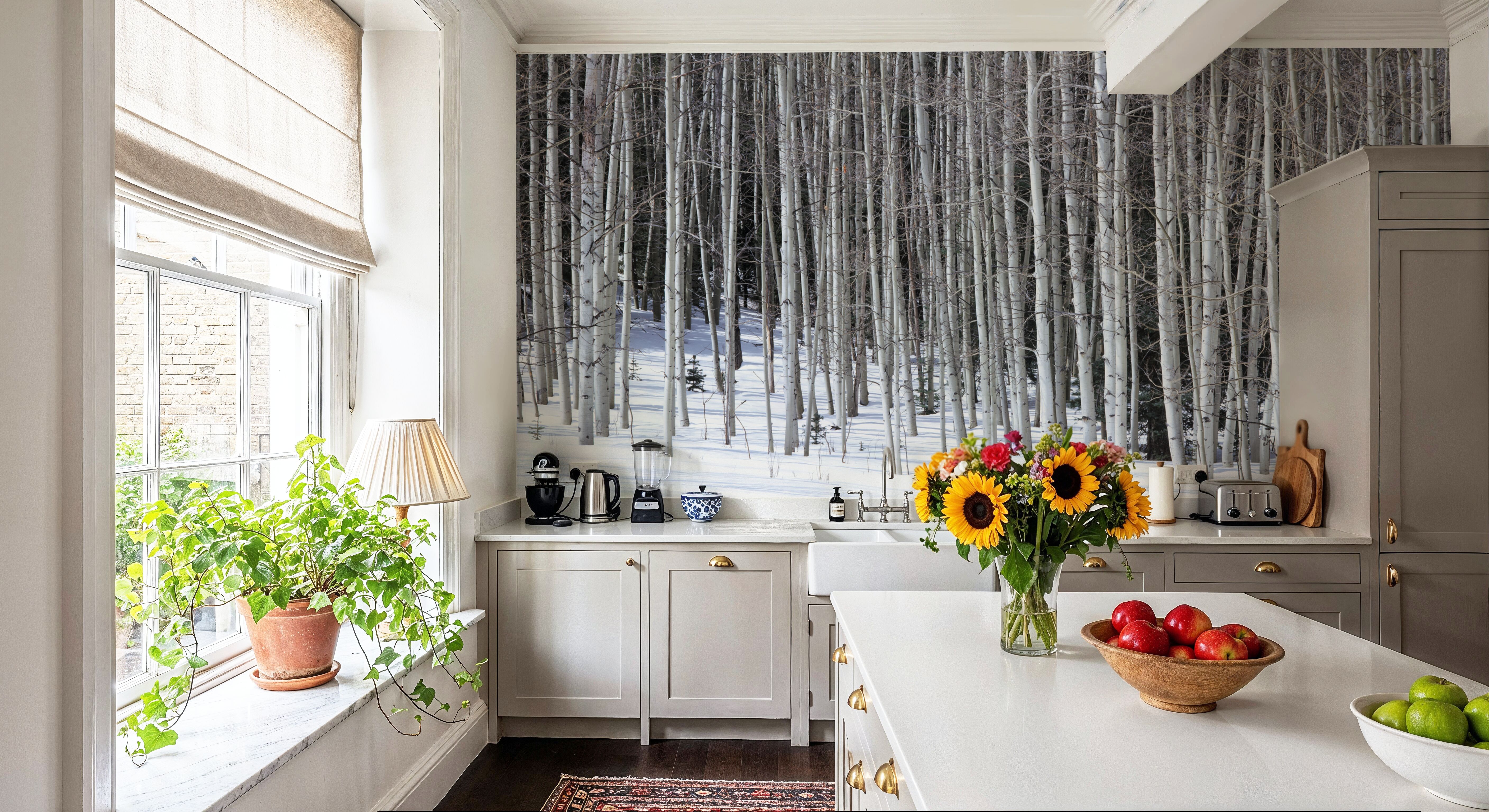 Winter Birch Stillness