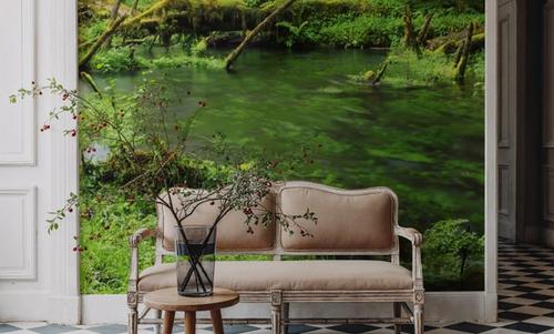 Hoh Creek