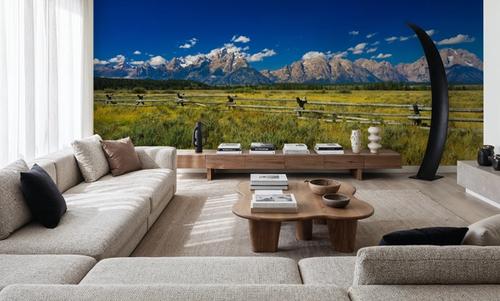 Grand Teton Range Field