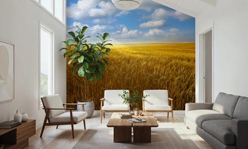 Amber Field Sky II