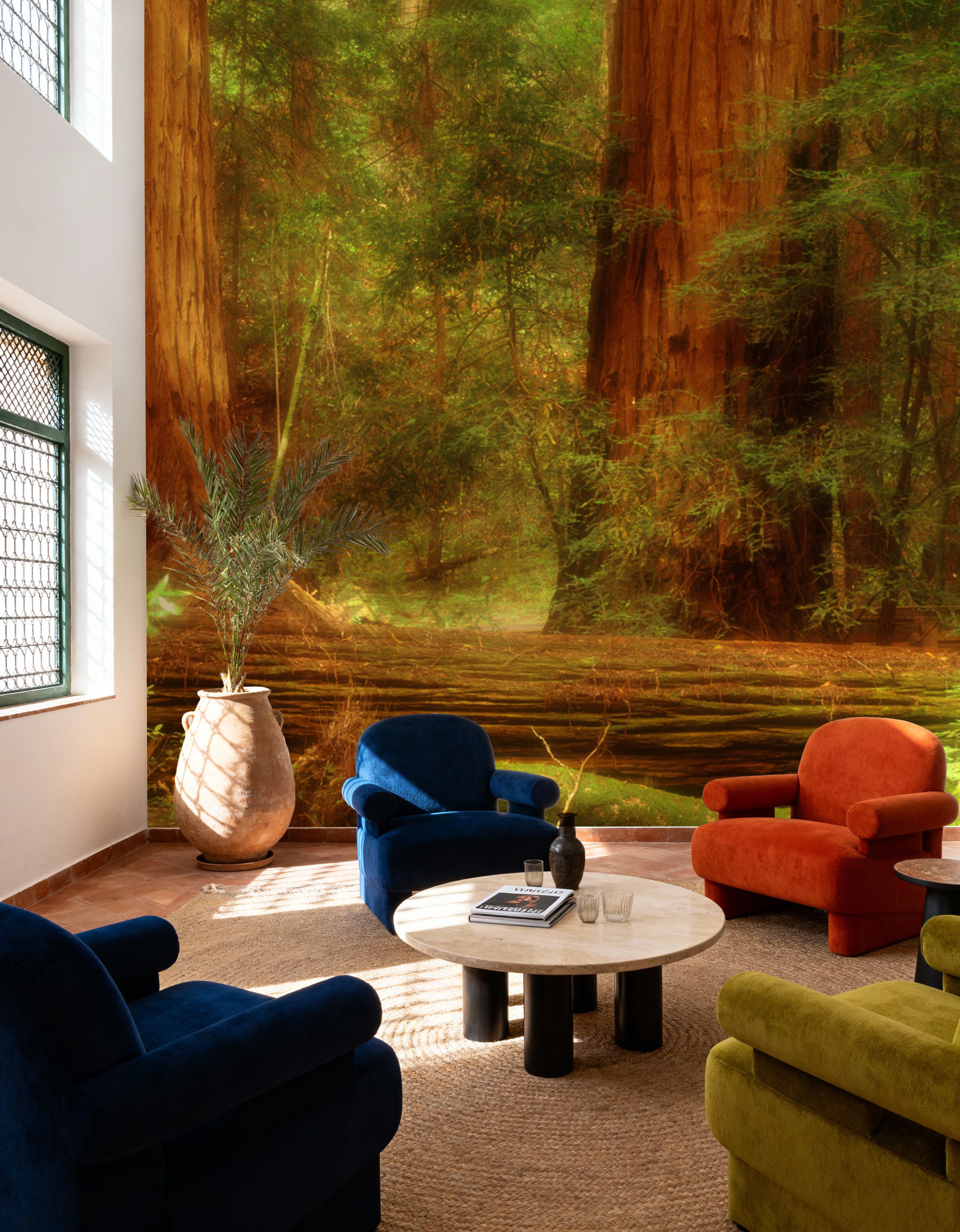 Ancient Redwood Sanctuary