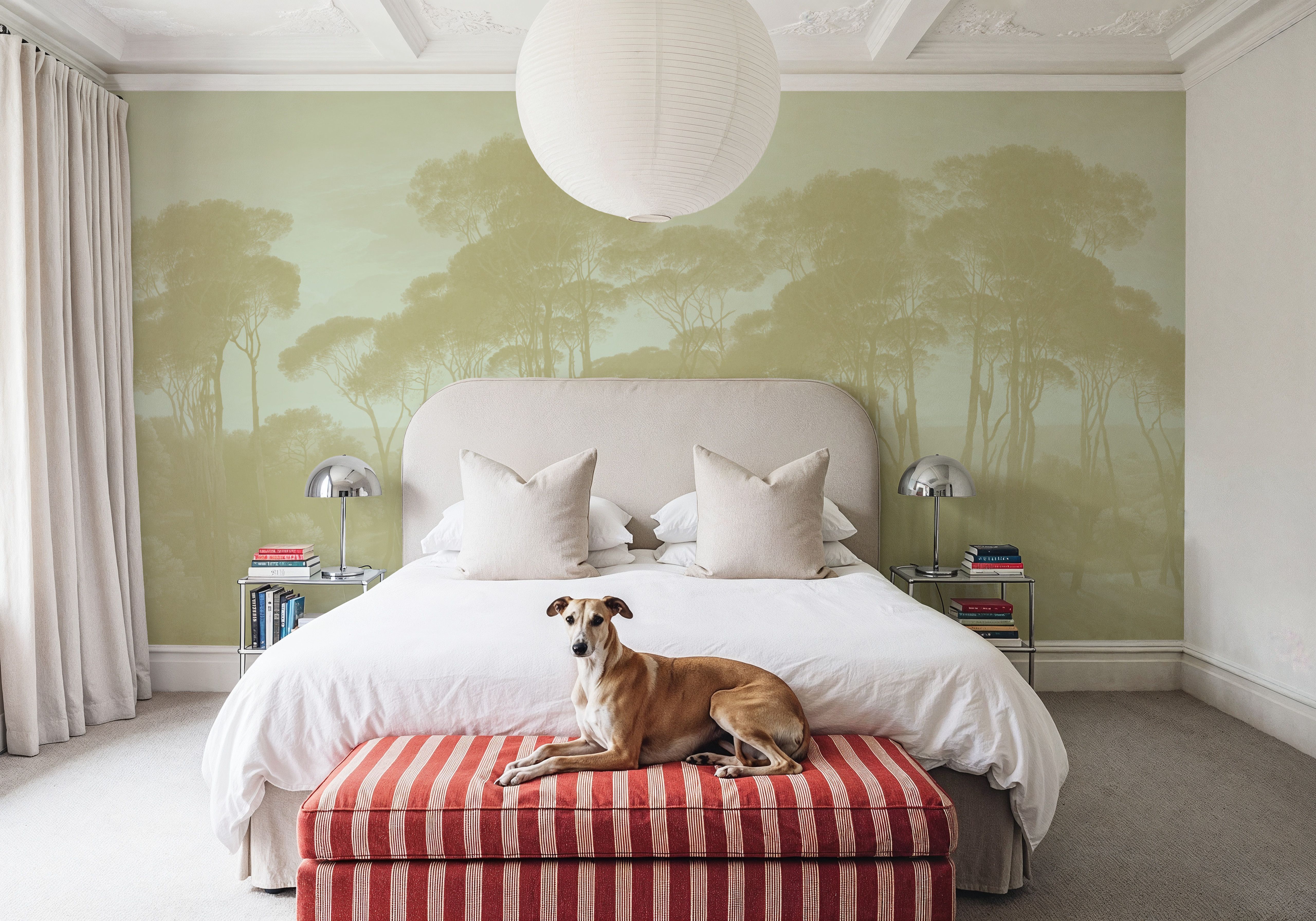 Mediterranean Pine Landscape, Greenish Beige