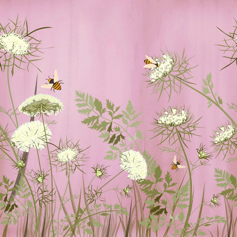 Queen Annes, Strawberry