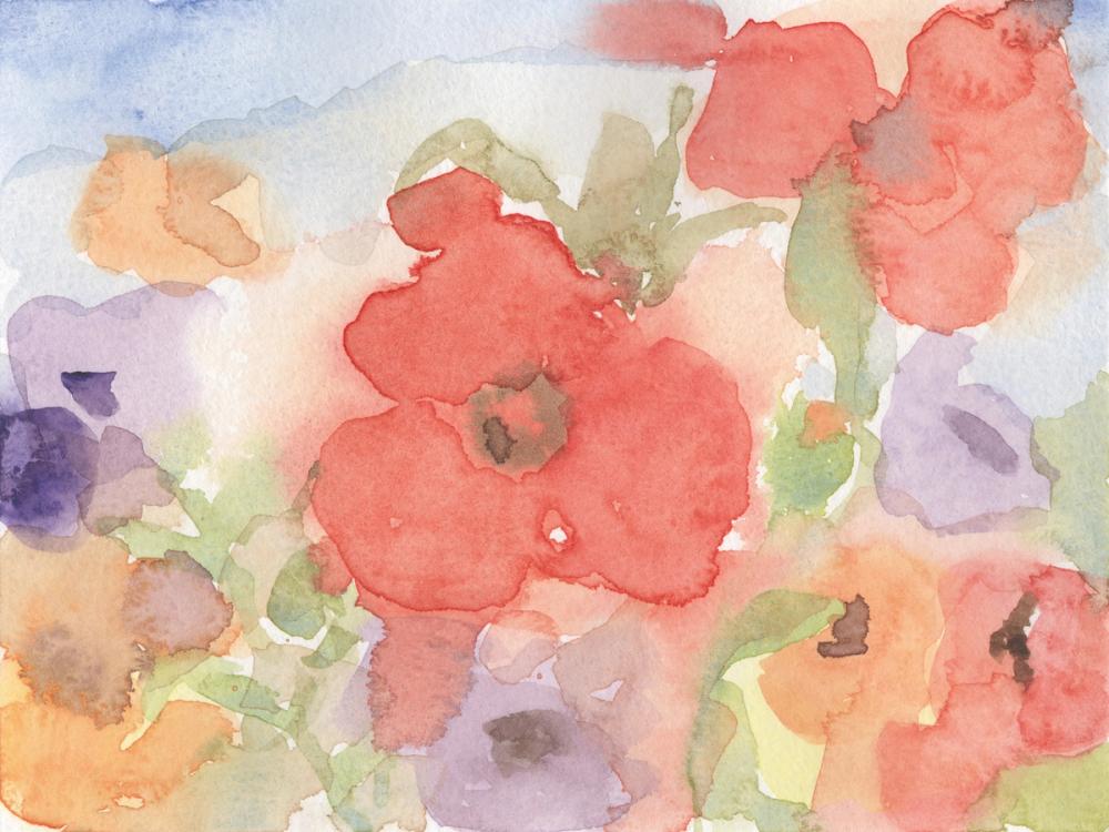 Summer Poppies