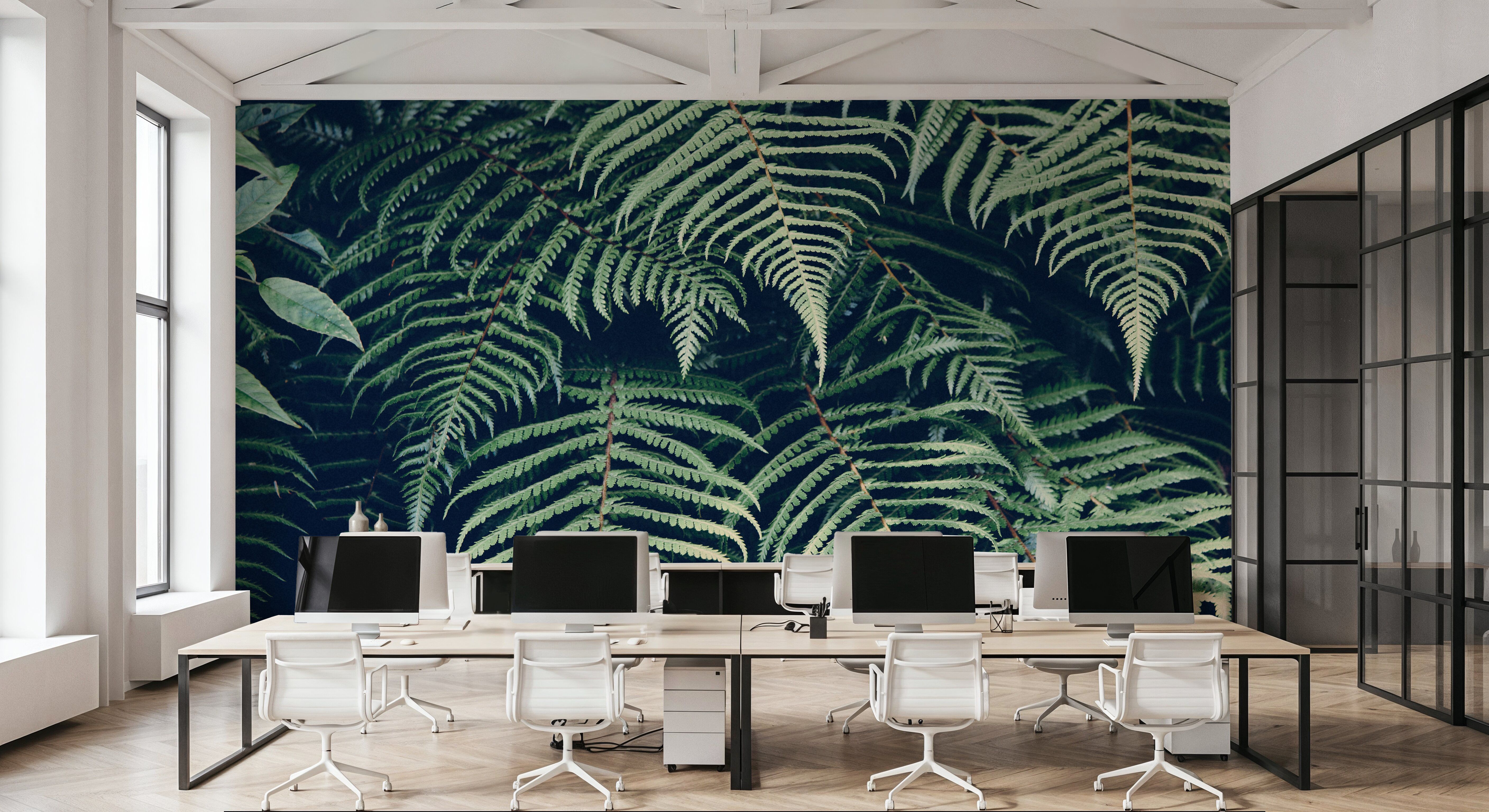 Fern Leaves