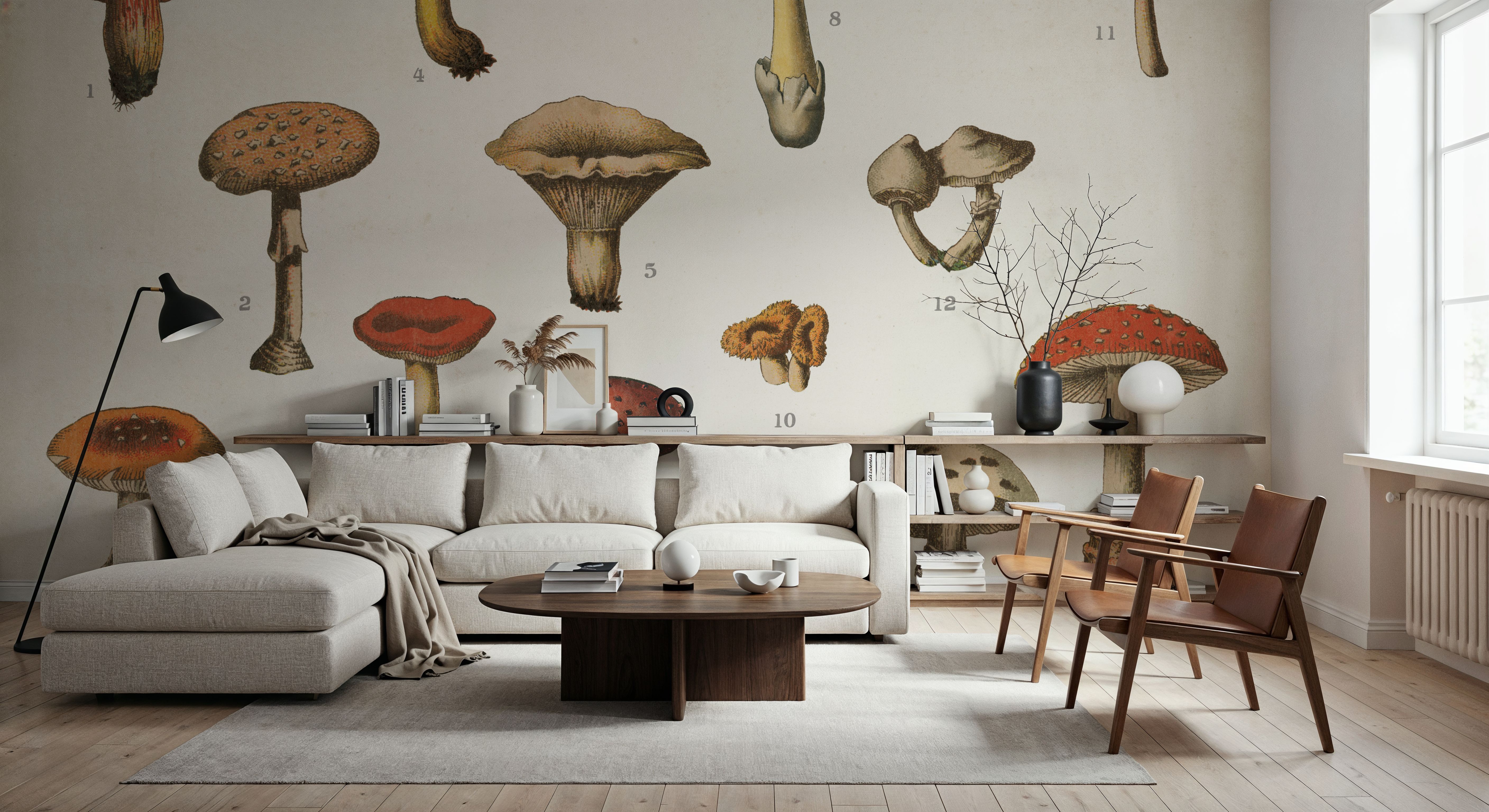 Mushroom Chart I light