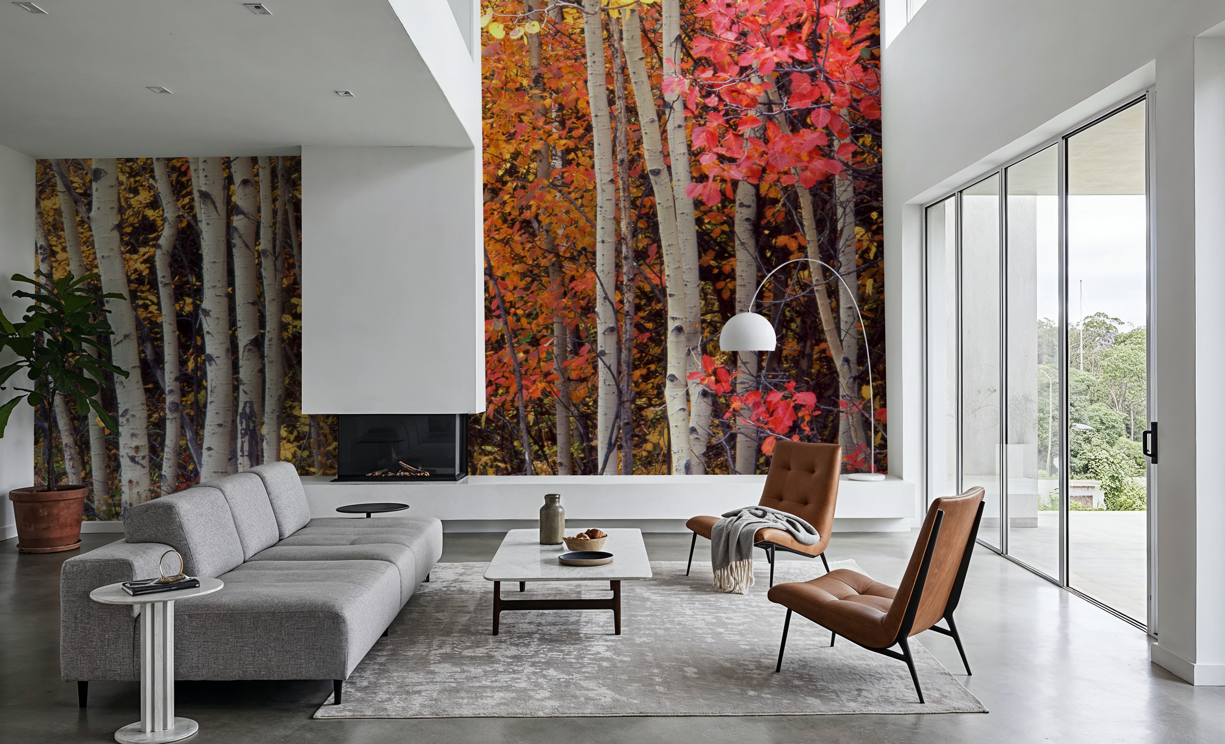 Autumn Aspen Grove