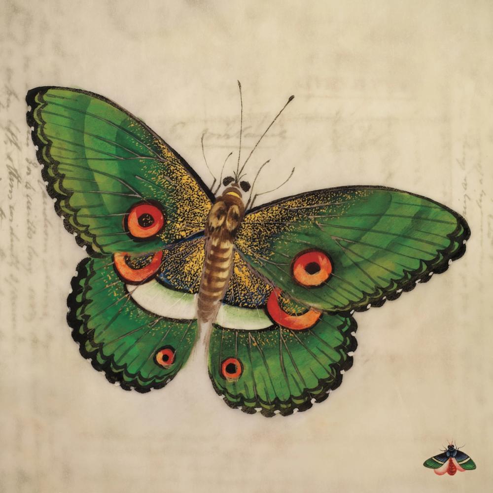 Vintage Green Butterfly