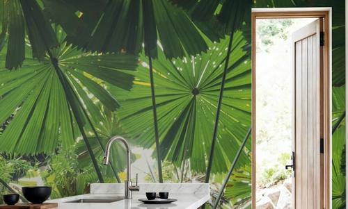 Tropical Fan Fronds