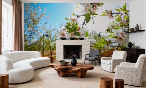 Almond Blossom Orchard